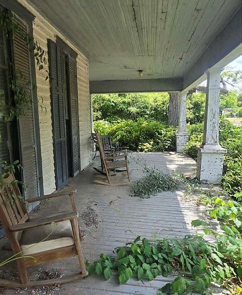 Listing photo 5