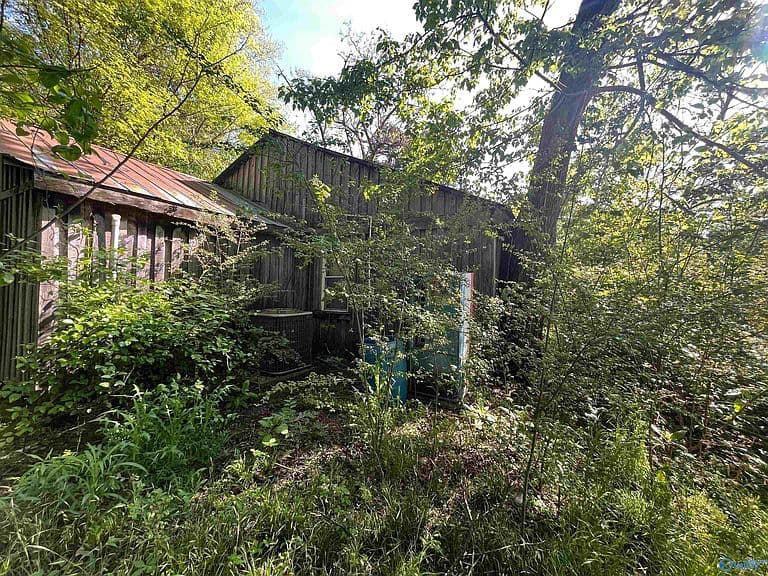 Listing photo 5