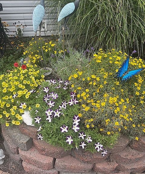 Listing photo 2