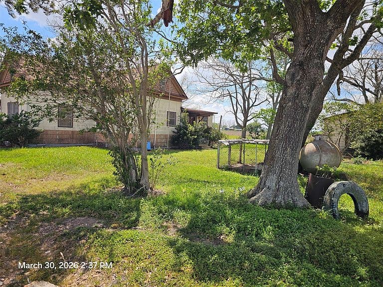 Listing photo 4