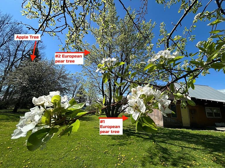 Listing photo 5