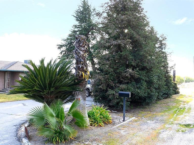 Listing photo 4