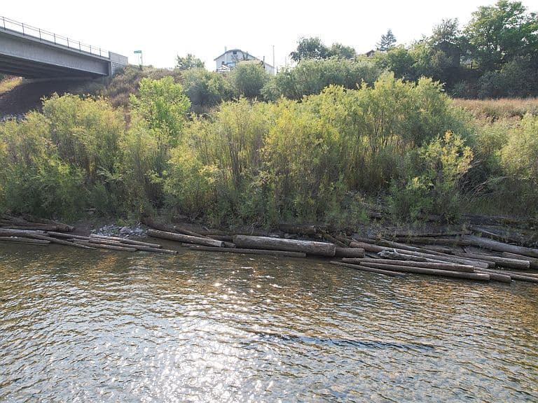 Listing photo