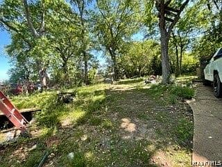 Listing photo 5