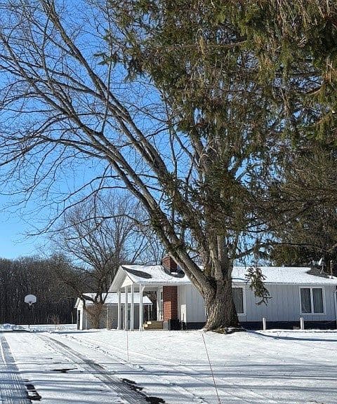 Listing photo 5