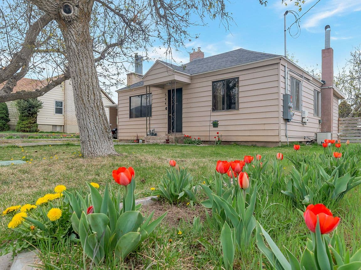 Primary listing photo