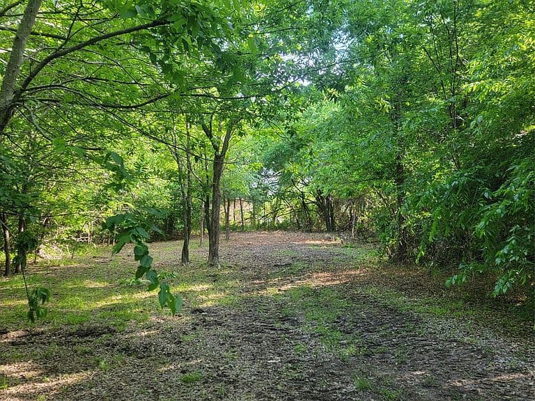 Listing photo 5