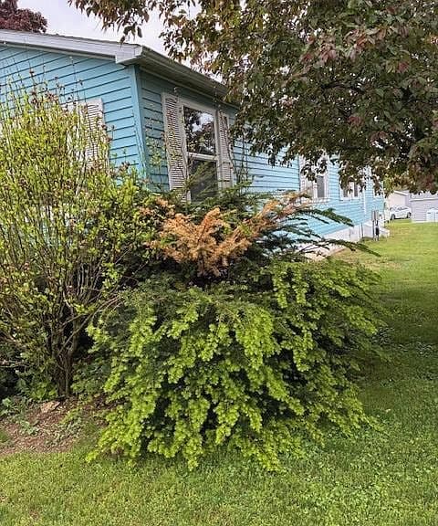 Listing photo 2
