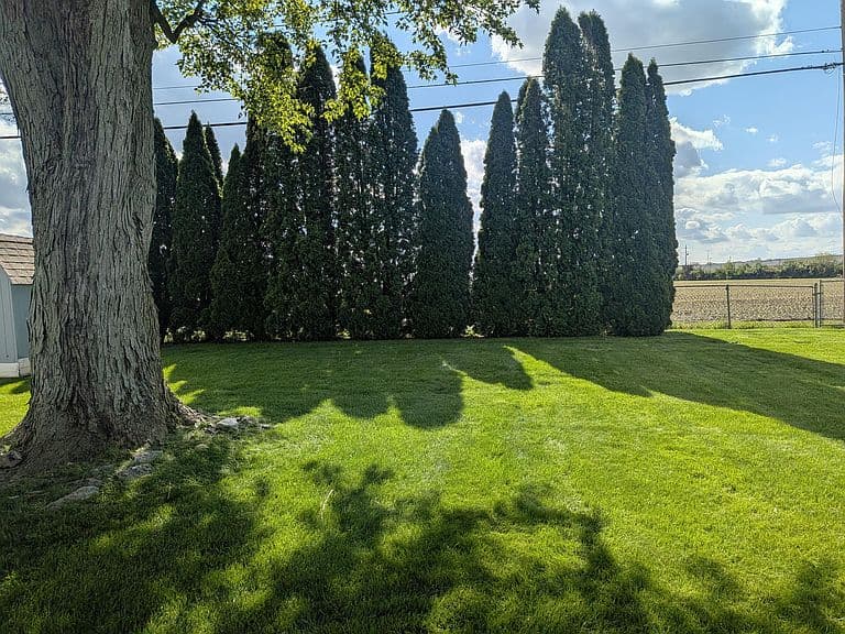 Listing photo 4